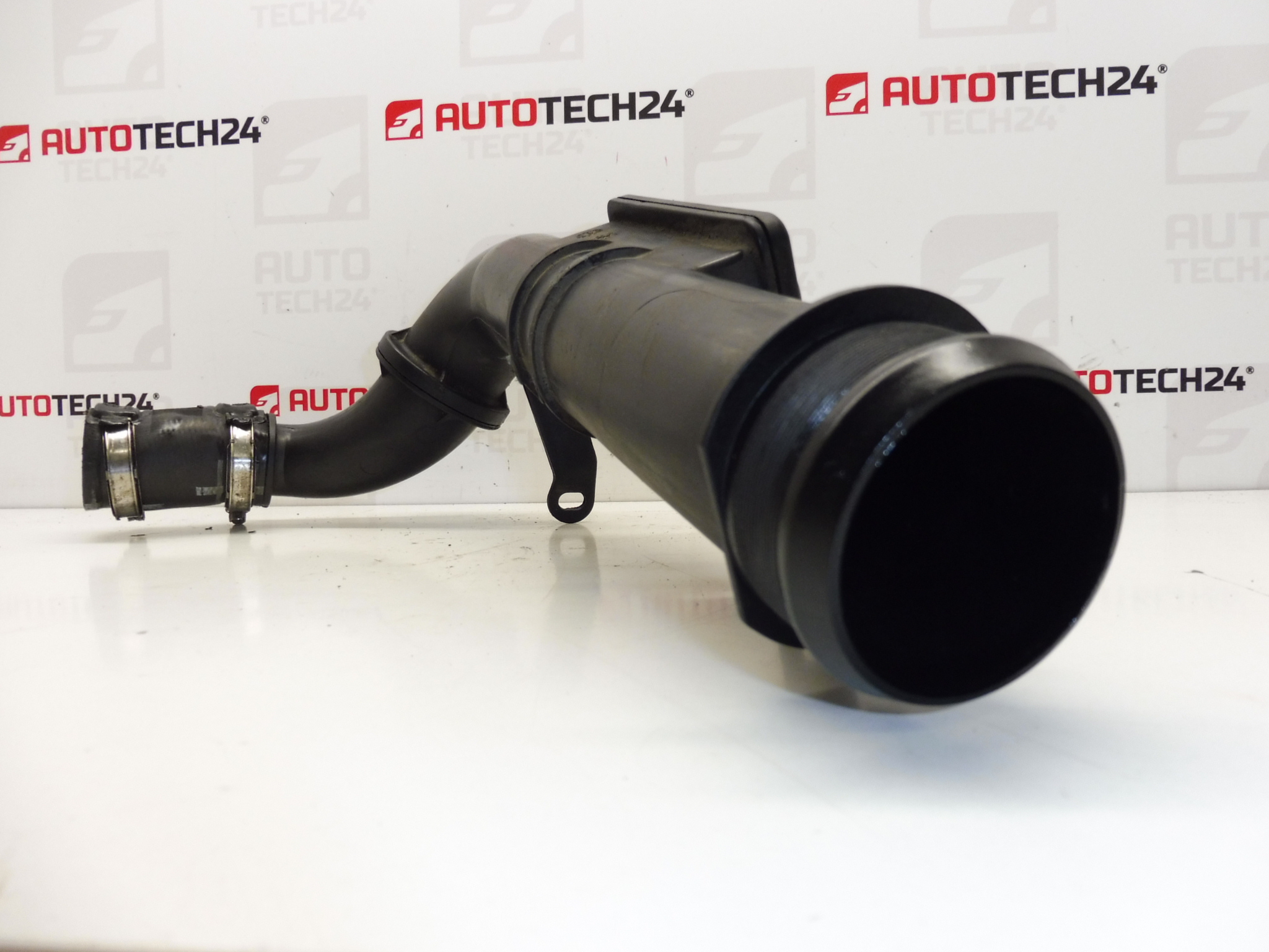 Molle a Gas Portellone Posteriore Compatibili con Citroen C2 09/2003-03/2010 Asta Portellone Bagagliaio