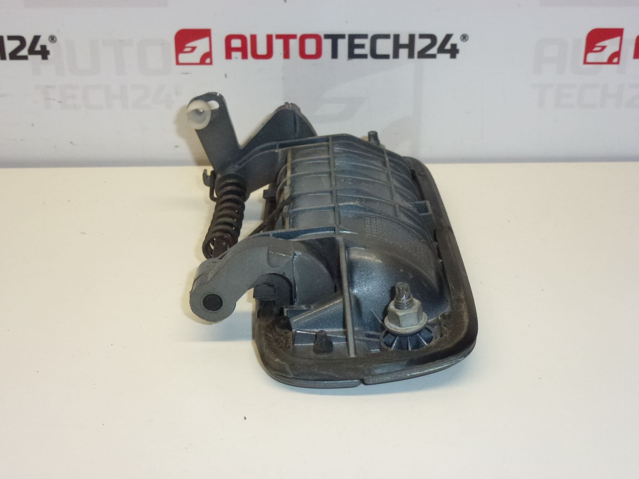 Maçaneta da porta traseira esquerda Peugeot ETHC 9101H4 9621859477