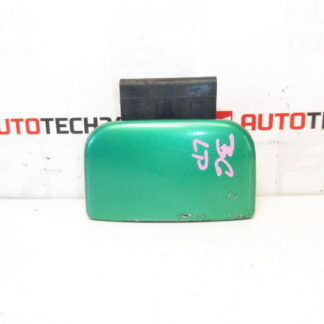 Mastre da Porta Esquerda Citroën Berlingo Verde 9101H6