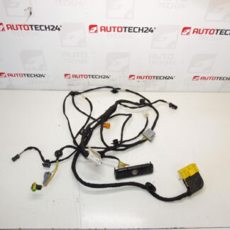Citroen C4 Picasso Valeo 6505W3 5243586 Pacote de assento