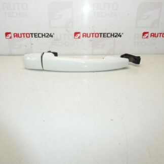 Citroën Peugeot EWBP 9101GH Porta