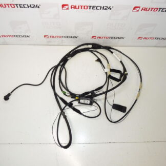 Cabo de antena Citroën C8 Peugeot 807 1489134080 1494844080