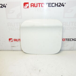 Peugeot 301 Citroen C-ELYSÉE EWP 9677571480