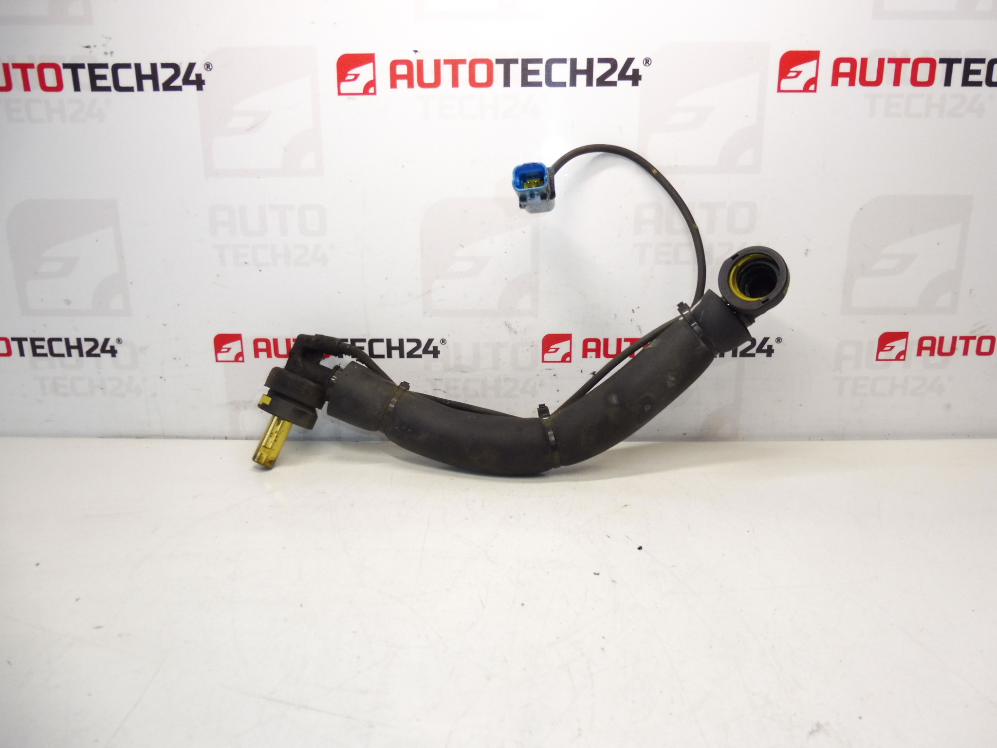 Conexão do Citroën Peugeot 1.8 16V e 2