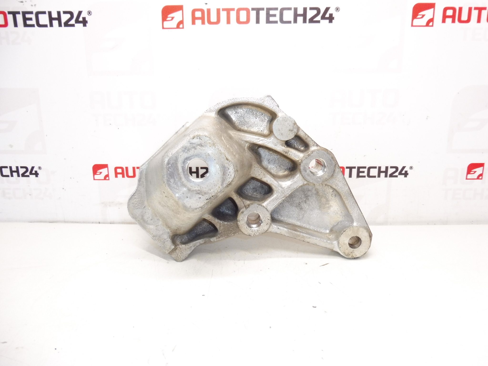 Dobradiça do motor Citroën Peugeot 9647029580 1839C8