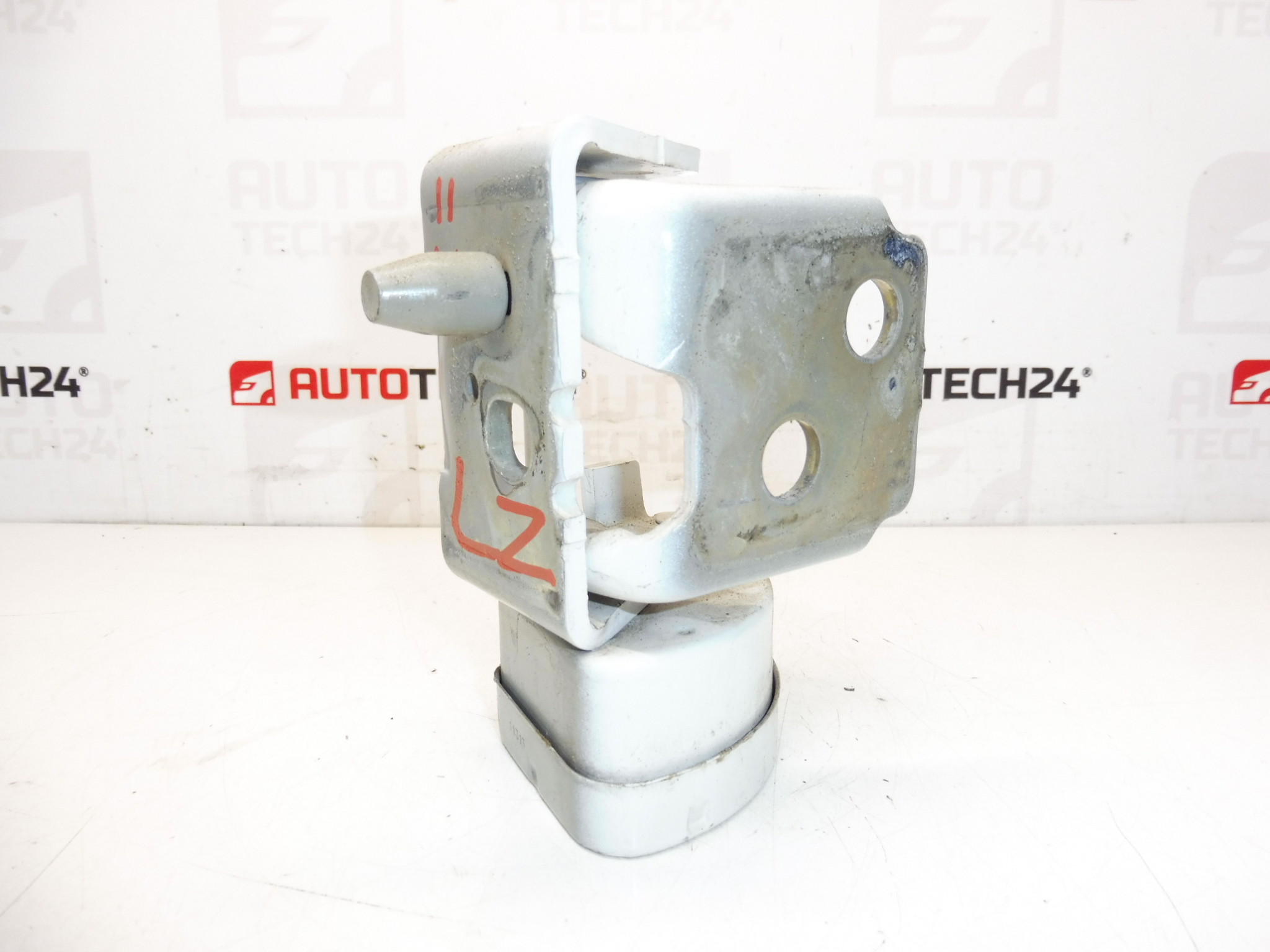 Batente da dobradiça da porta traseira esquerda EWPB Citroën C3 Picasso 9035CL - Image 2