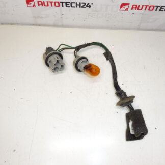 Lâmpada traseira de bulbo