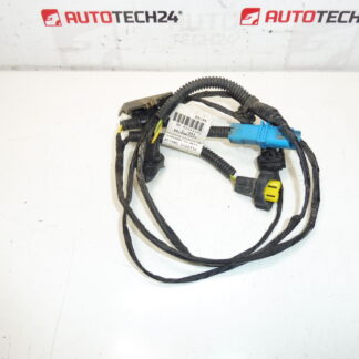 Pacote Citroen Peugeot 9653900780 6567LQ
