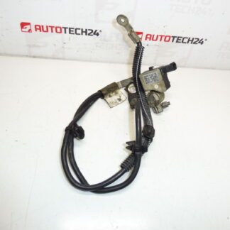 Cabo pólo negativo Citroën Peugeot 2.0HDI 9672544480 9666488380