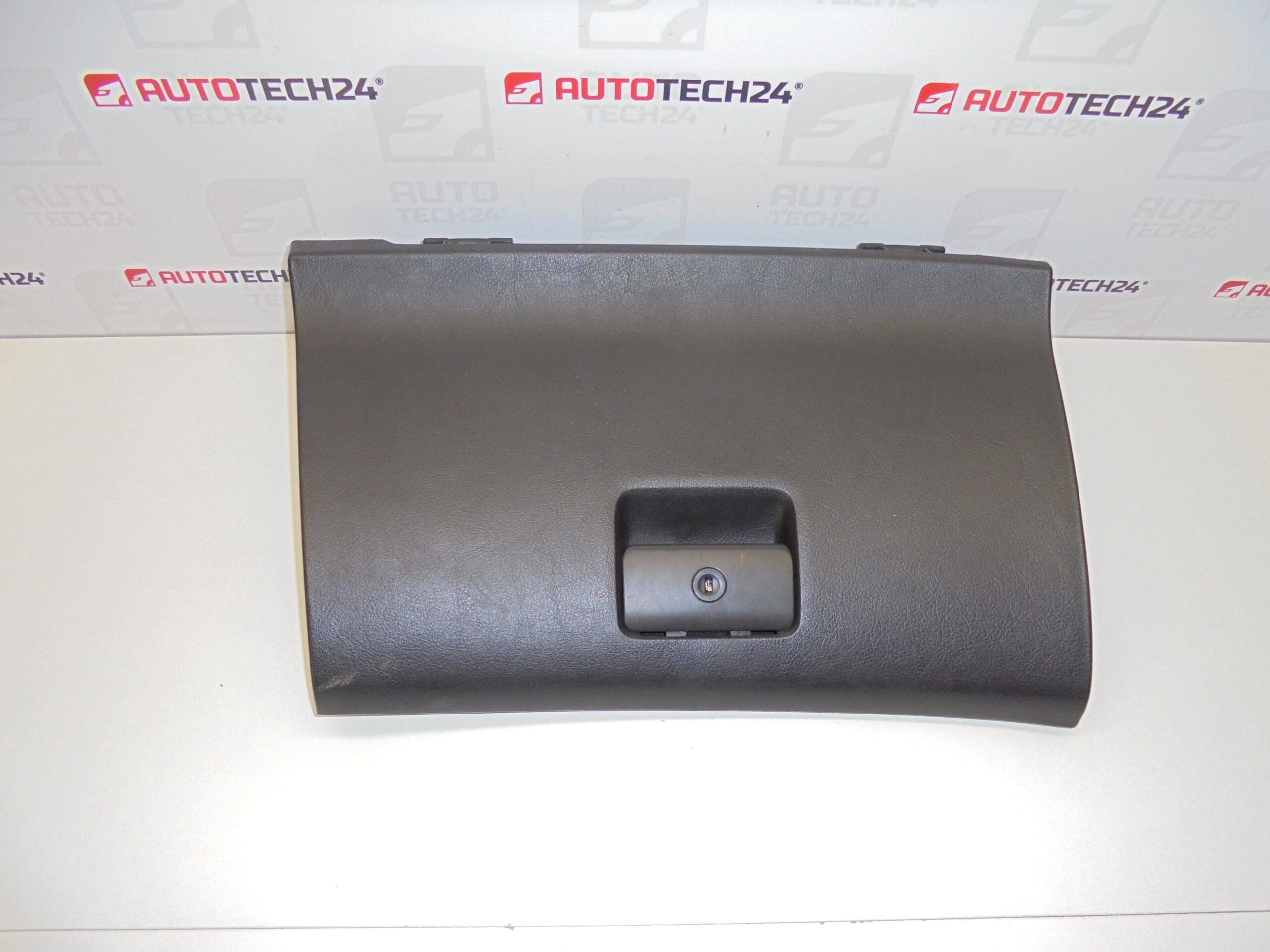 Caixa de Armazenamento Peugeot 307 8220TZ