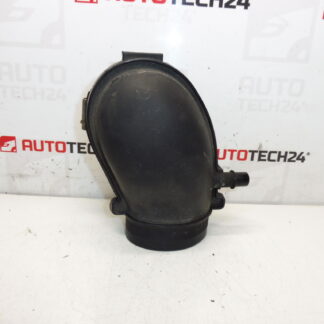 Conexão Citroën Peugeot 2.0 i 9641733880 143431
