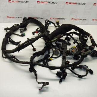 Conjunto Citroën Peugeot 1.6 HDI 9662415380 9662415480 6569Z0